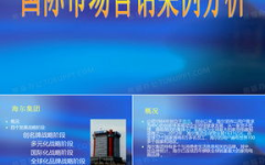 市场营销案例ppt,策略与成效深度剖析